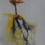 arbre
