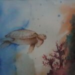Tortue